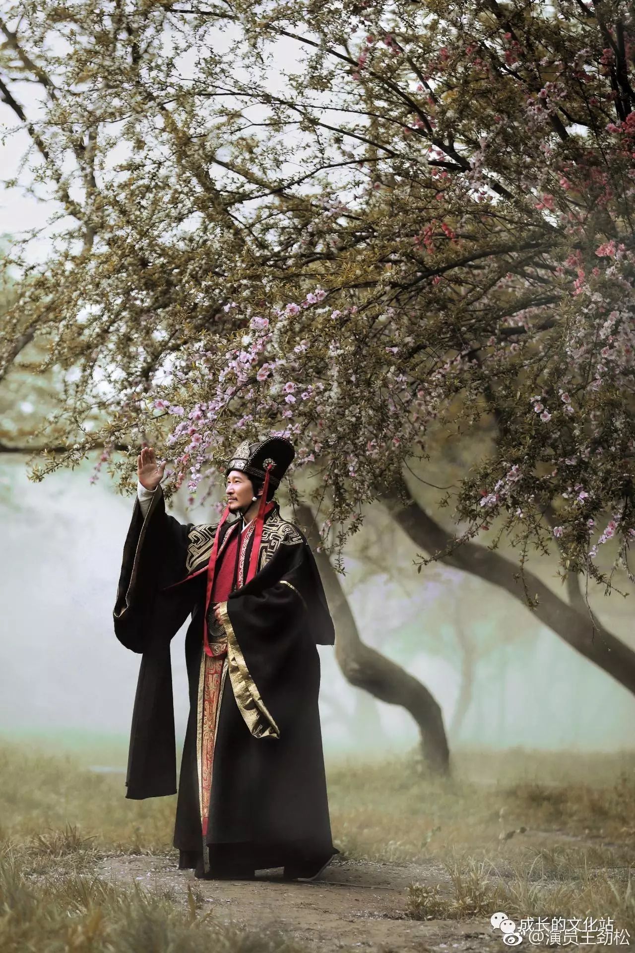 谋士荀攸_荀攸的军事博弈与智谋_博弈军事智谋荀攸是谁