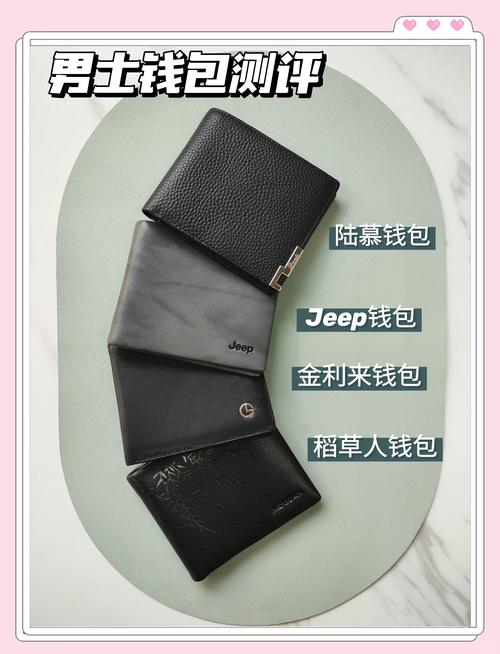 钱包类型了解功能怎么写_了解钱包的类型及其功能_钱包类型了解功能有哪些