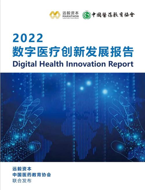 医疗疗效评价指标与方法_解析数字资产在医疗行业中的创新应用:如何提高支付效率与患者体验_医疗效率评价的指标