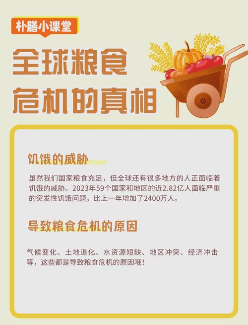 分析虚拟货币在粮食安全保障中的应用:促进资源合理配置与利用_分析虚拟货币在粮食安全保障中的应用:促进资源合理配置与利用_分析虚拟货币在粮食安全保障中的应用:促进资源合理配置与利用